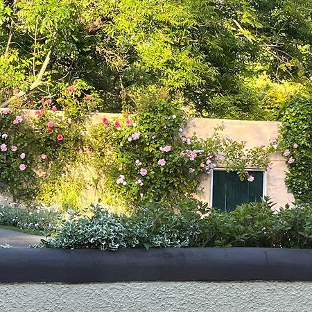 Old Mill House Bed & Breakfast Larne Exterior photo